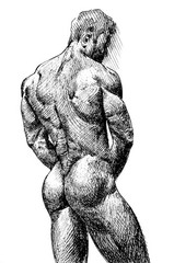 PRINT on paper Collectible nude male nude figure Certificate. print LGBT 8×11