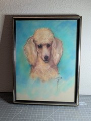 Vtg Original Signed Dog Portrait Framed White Poodle 13 X 17 in. Marcy ’74