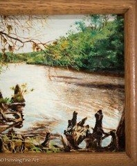 Stunning Original Oil Painting of Cypress Tree Florida River Signed J.R. Boyd 2