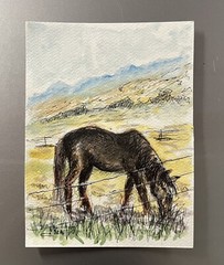 Original Watercolor Ink Painting Ranch Horse Remington Inspired Western Art CoA