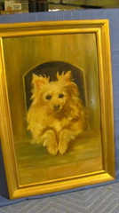 Antique Cute Dog Blond Collie Type Oil Painting – 1910