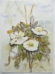 Ingeborg Jakob Wilhelmshaven Watercolour Hand Signed Dated 13×18.5cm To-5032