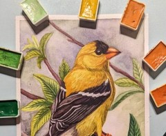 American Goldfinch art Original Watercolor Bird on a Branch Small Painting 5x7in