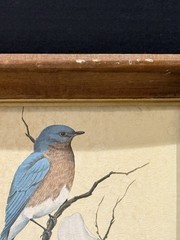 Vintage Art LaMay Bird Prints – Set of 2 Framed Wall Art (Bluebird & Goldfinch)