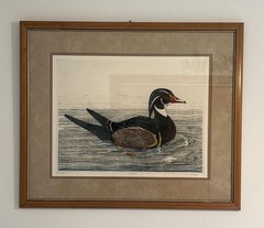 Vintage Rare Wood Duck Oil Painting 11/125 Produced 31”x26” Framed