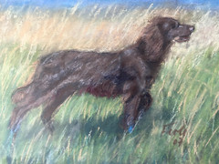 ::PASTEL DOG SETTER ON THE COAST FIELD HUNTING DOG SIGNED DATED 07 FRAME
