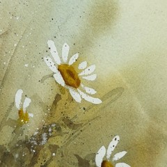 Paula Hope Mixed Media Watercolor Oil Daisy Floral Painting Framed Matted Art