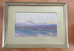 Antique 1911 Watercolor painting South Africa Edith Struben , Karroo Ostriches