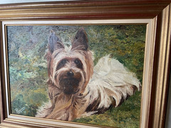 Francis PASQUIER Signed – Yorkshire Terrier Dog in the Meadow – Oil Painting