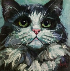 Original Oil Painting Portrait of a Black and White Cat Impressionist 6×6 inches