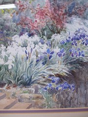 Antique 1900 English Watercolor Painting, Iris Garden, Villa Himalaya