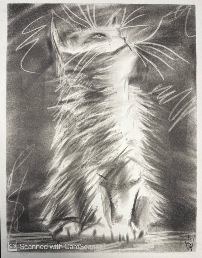 Cat Looking Up Full Body 11×14 Pastel on Paper Expressionist Art