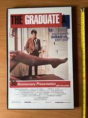 THE GRADUATE 17X11 30TH ANNIVERSARY MOVIE POSTER ~ Framed