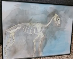 Framed Original 9 x 12 Painting: Watercolor and Pencil on Cold Press Paper