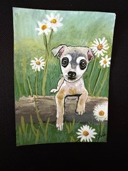 ACEO “Puppy Eyes” Acrylic Painting By Sheila Lofgreen