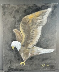 Bald Eagle Original Painting