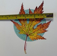 Original Painting Maple Leaf Fall Autumn Botanical By Gilliland Watercolor Mixed