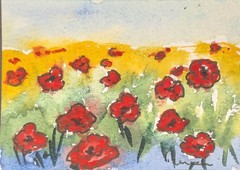 Poppy Field – Original art Unmatted ACEO or ATC watercolor