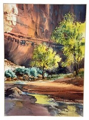 David W Jackson Watercolor Painting ~ Red Rock Canyon Landscape ~ Utah Artist