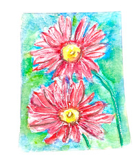 ACEO Original daisy pink flower ATC OOAK Cherie Donnell