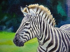 Watercolor Painting Zebra Safari Africa Savannah Animals Nature ACEO Art