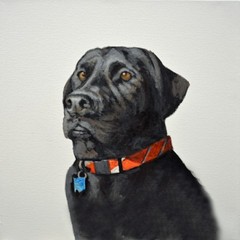 Acrylic on canvas dog portrait. Original art