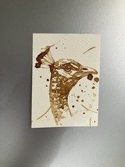 Original Coffee Peacock Painting Bird Lover Art Aceo Gift ATC Artwork Artettina