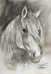 Landscape Impressionism Pastel Painting Drawing Dorothy Laz Mt Horse
