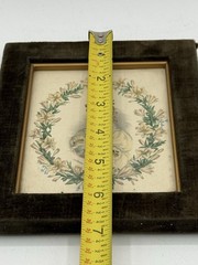 Antique 19th Century Hand-Colored Lithograph “ The Lilly Green Velvet Frame
