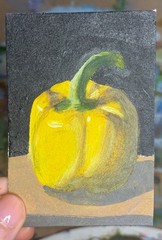 ACEO Original Bell Pepper Art Card Acrylic/Canvas Hand Painted 2.5 In x3.5 In