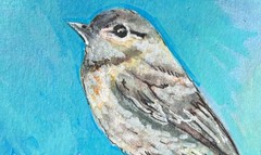 ACEO “Scarlet Robin” Acrylic Painting By Sheila Lofgreen