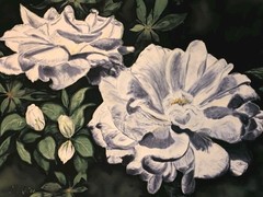 Large Gardenias Silk Floral Picture Art White Black Framed Stunning! 31×23″