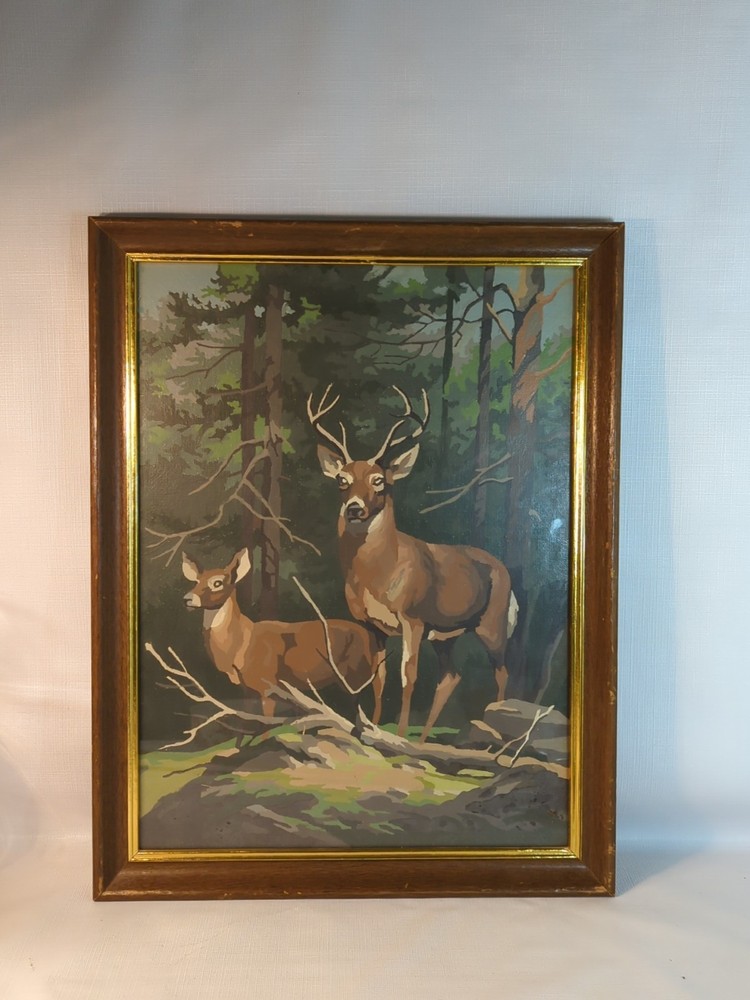 Vintage Paint by Number Deer Mountain Scene framed Buck Doe Picture 18×14” MCM