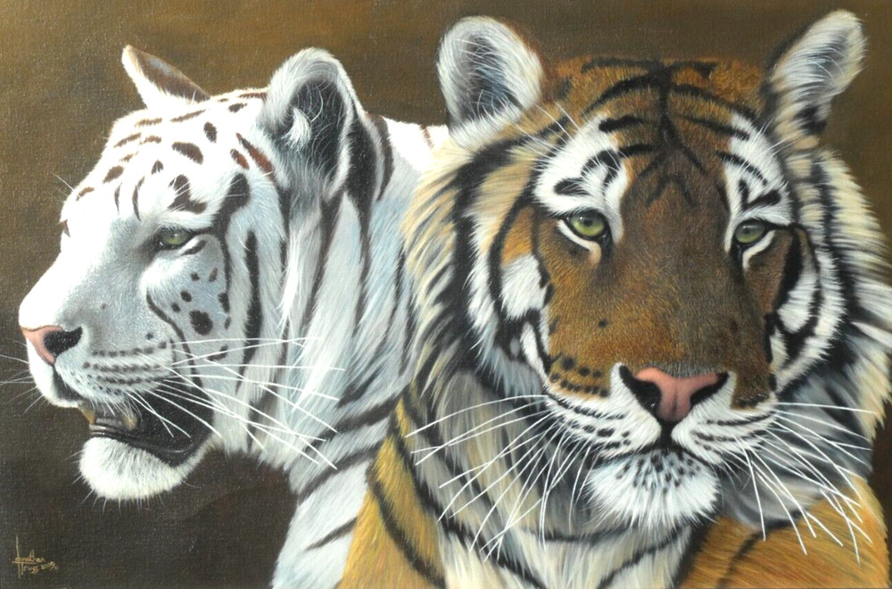 Jonathan Truss – Original Oil Painting – A Portrait of Two Tigers.