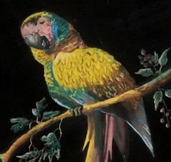 Beautiful Antique Parrot on a Branch PASTEL painting