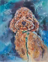 Original Peach Poodle Dog Mixed Media Painting, Pet Portrait Wall Art, 9.5″x12″