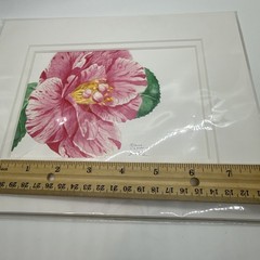 Liz Hutnick Watercolor Painting Pink Camellia 2006 Botanical Art Signed Matted