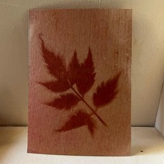 ACEO Original Art Card 2.5 x 3.5 anthotype mini painting leaf
