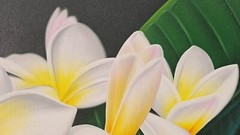 Acrylic Painting Plumeria Tropical Flower – 30in L x 61in W, Single Piece