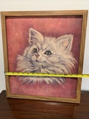 Vtg Fluffy Gray/White Cat Artwork Framed No Glass 17”x15” UNIQUE