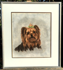 Yorkie: Yorkshire Terrier, Original „Life-Like“ Pastel Painting, Artist: J Clark