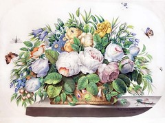 STILL LIFE SALE Italy/USA Watercolor PAUL SERBELLONI ‚Basket Flowers‘, 13″ x 19″