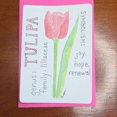 ACEO Original by Hope Owens, Watercolor Trading Card w Envelope, Tulip