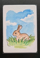 Original ACEO Watercolor Painting Bunny Sitting In Grass 2.5 x 3.5″ By FPA
