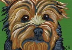 ACEO Original Miniature Painting Yorkshire Terrier Pet Dog Art -Carla Smale