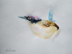 Fairy-wren, Birds, Watercolor artwork, Handmade, Original painting on paper