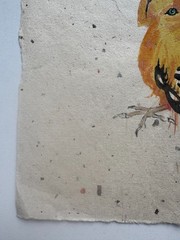Vintage Watercolor Painting Gold Finch John Matassa OOAK 8 x 8