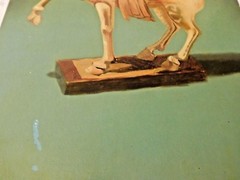 HAL B. RUNYON (20th C., San Francisco, CA); Postimpressionism; O/B, ‚TANG HORSE‘