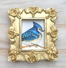 Blue jay bird mini gold ornate framed print of watercolor painting
