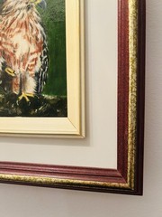 Original Framed Oil Painting Of Redshoulder Hawk 11×12 Wildlife Art
